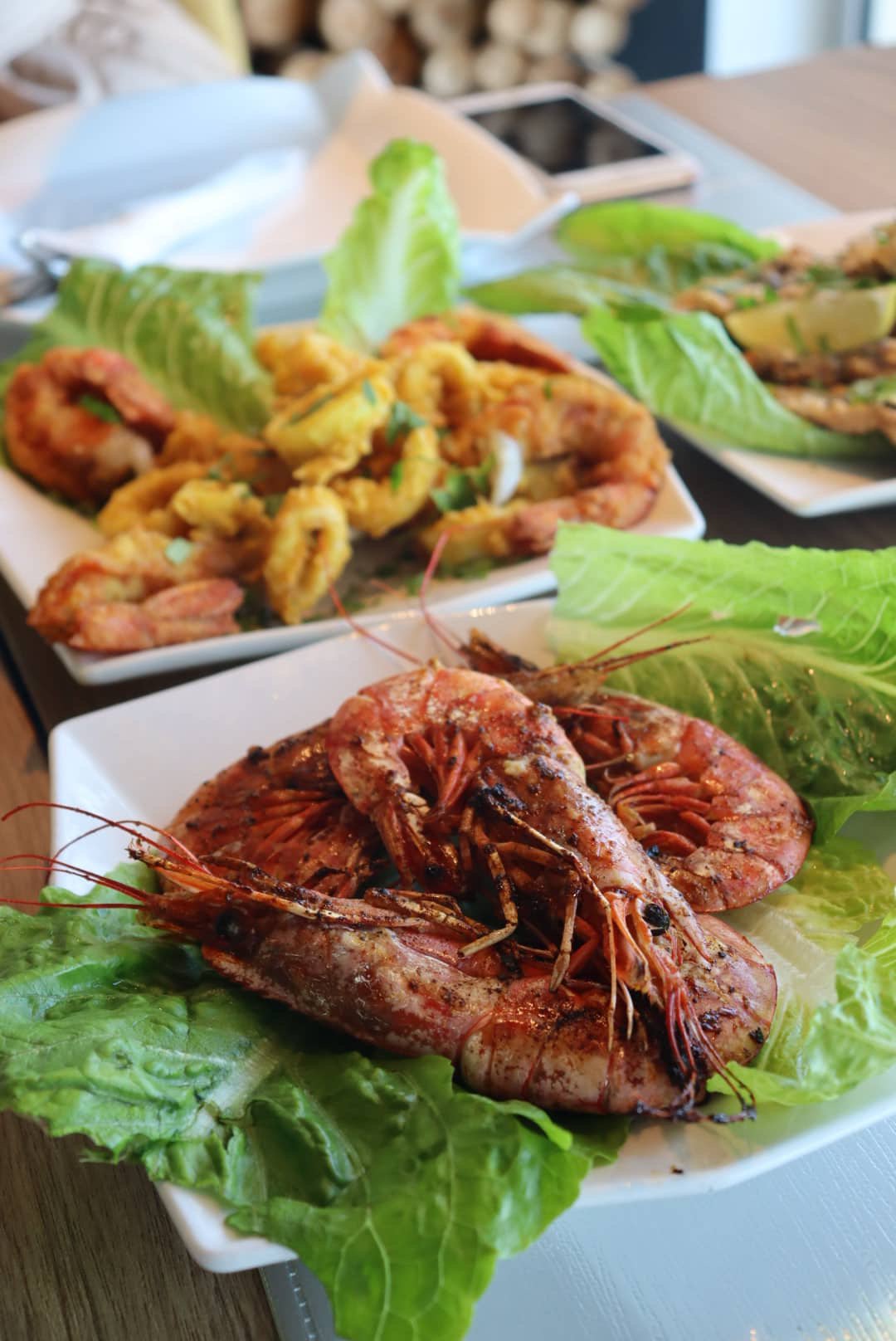 قيمبري ( مشوي - مقلي - كرسبي - بترفلاي - بالعسل الطبيعي )