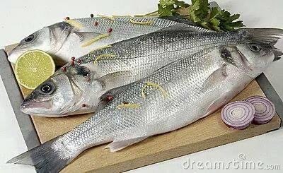 قاروص  ( مشويه - مقلي ) 